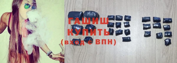 сатива Инта