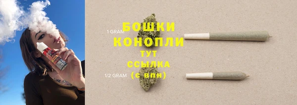 сатива Инта