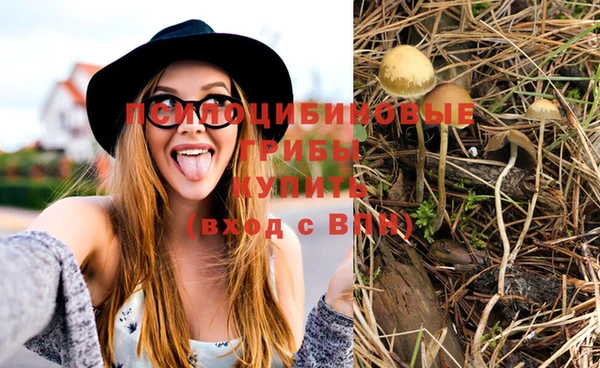 MDMA Premium VHQ Каменск-Шахтинский