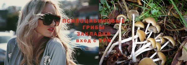 скорость Каменногорск
