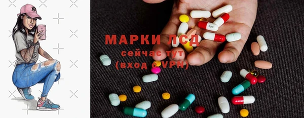 скорость Каменногорск