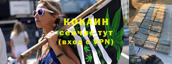 сатива Инта