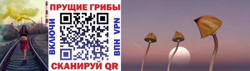 Купить где  Гусь-Хрустальный  Галлюциногенные грибы мицелий 